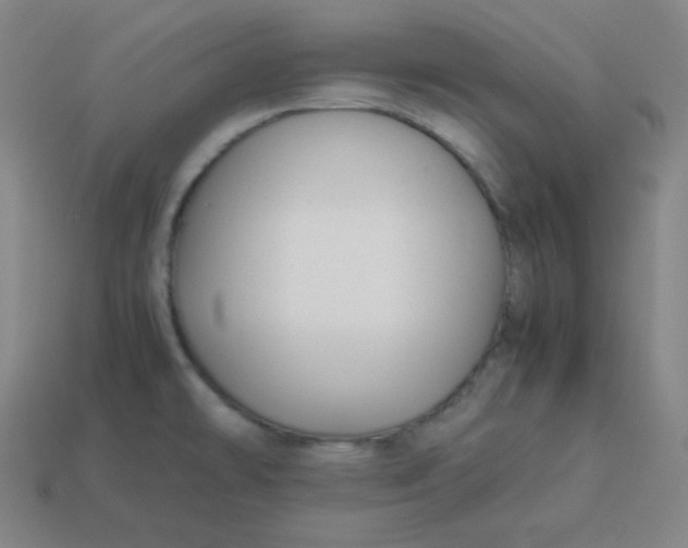 X0000113751478200910141015