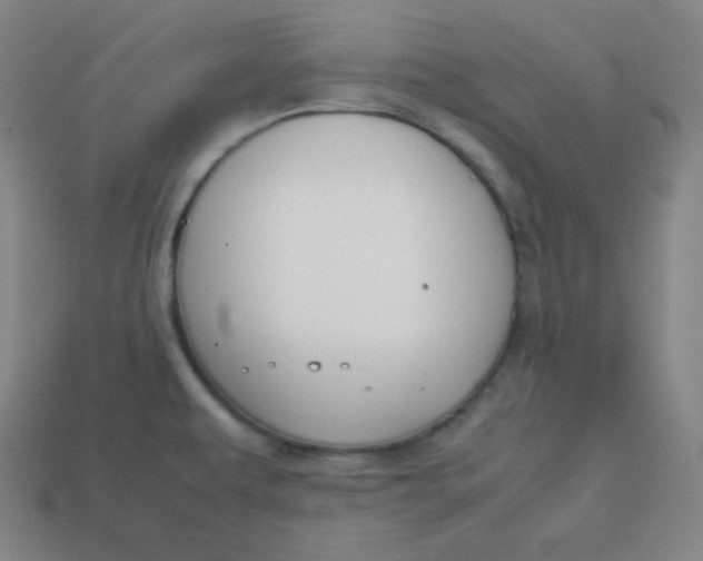 X0000113751479200910141015