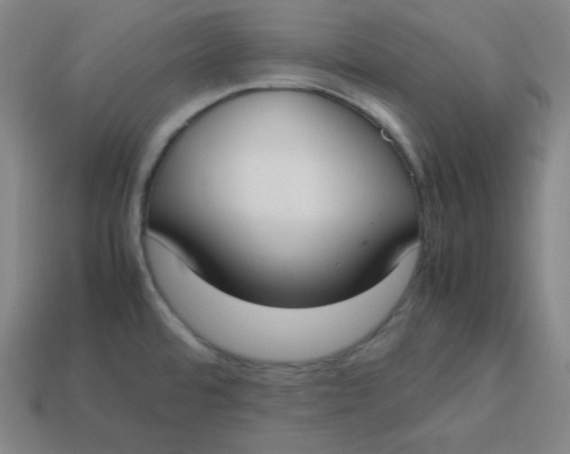 X0000113751480200910141015