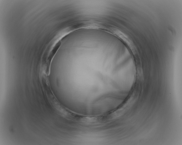 X0000113751481200910141015