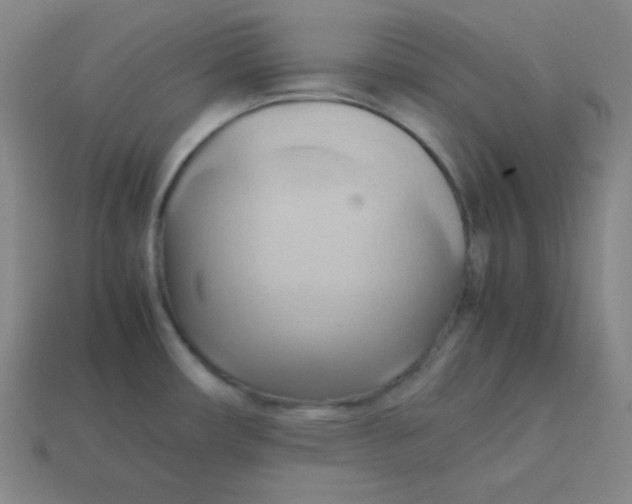 X0000113751482200910141015