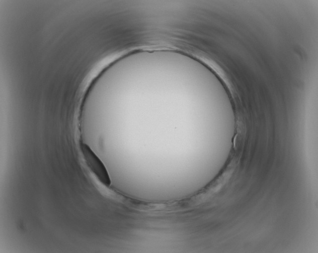 X0000113751485200910141015