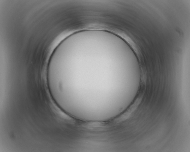 X0000113751486200910141015