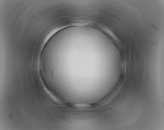 X0000113751487200910141015