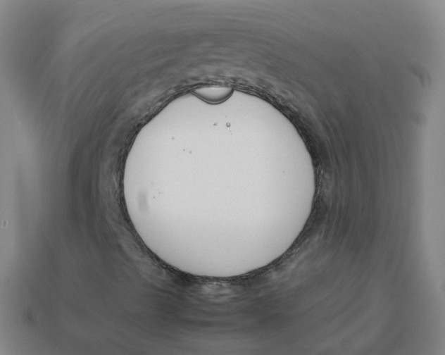 X0000113751489200910141014