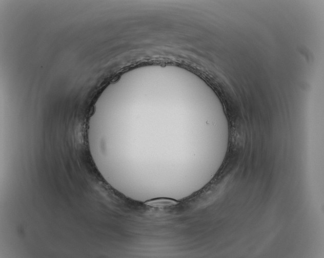 X0000113751490200910141014