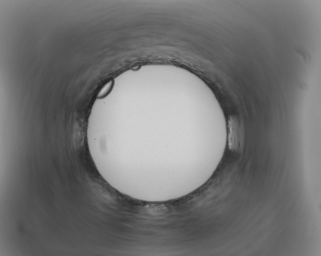 X0000113751491200910141014