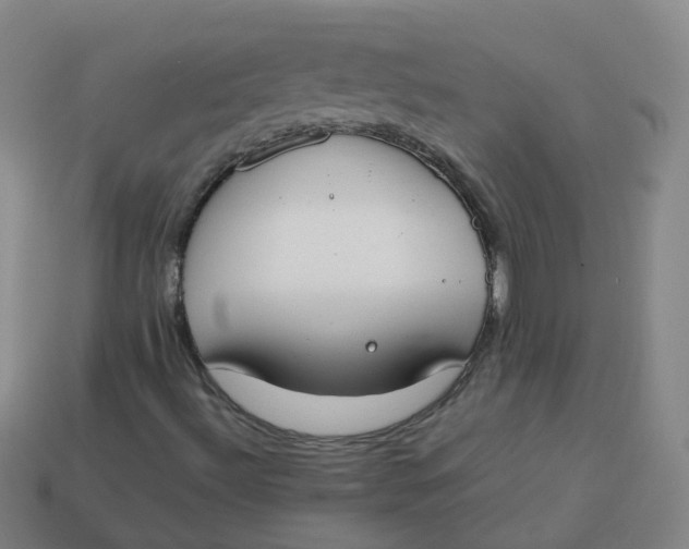 X0000113751492200910141014