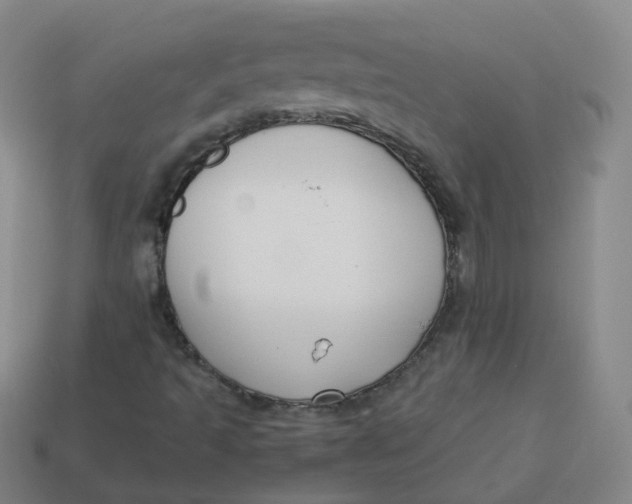 X0000113751493200910141014