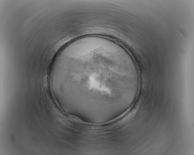 X0000113751497200910141014