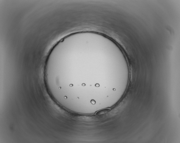 X0000113751500200910141015