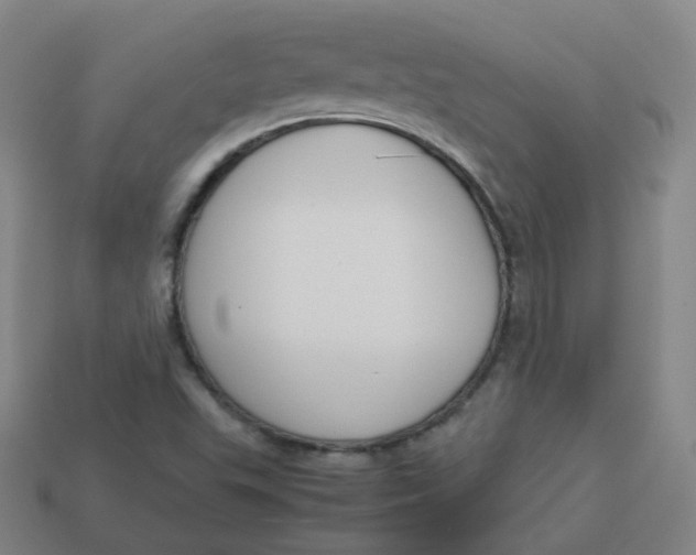 X0000113751503200910141015