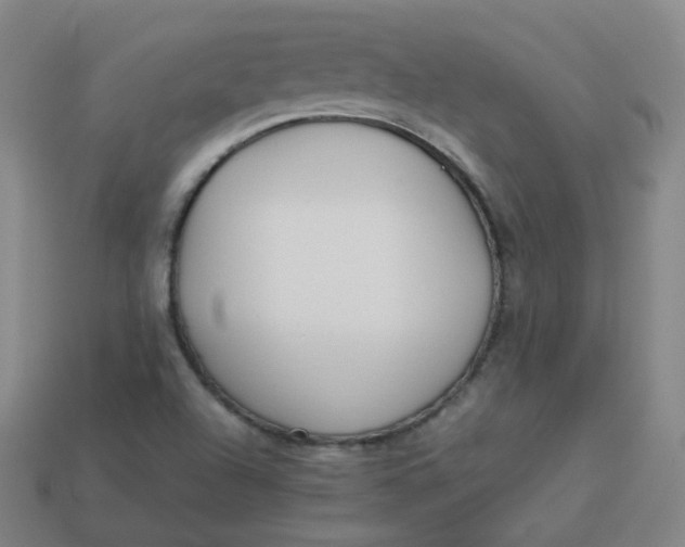 X0000113751504200910141015