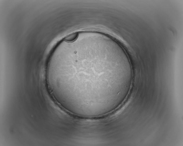 X0000113751506200910141015