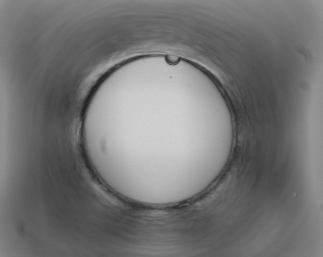 X0000113751507200910141015