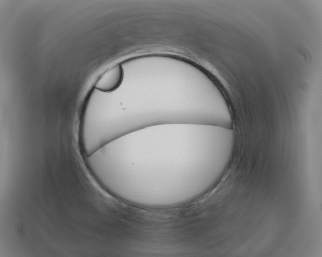 X0000113751508200910141015