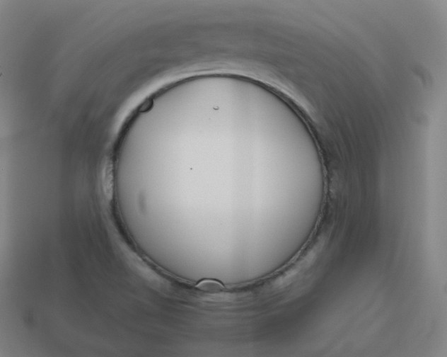 X0000113751510200910141015