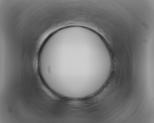 X0000113751511200910141015