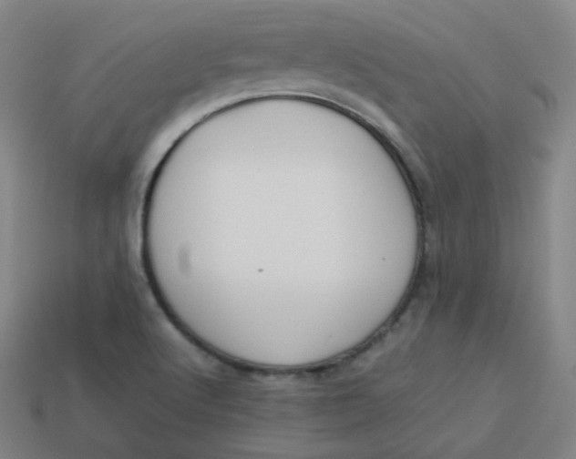 X0000113751512200910141015