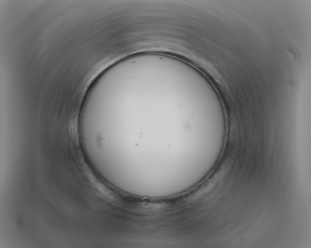 X0000113751513200910141015