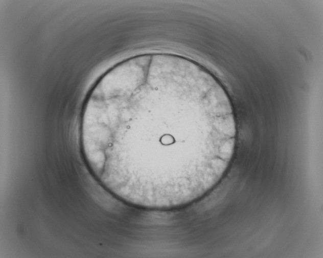 X0000113751514200910141015