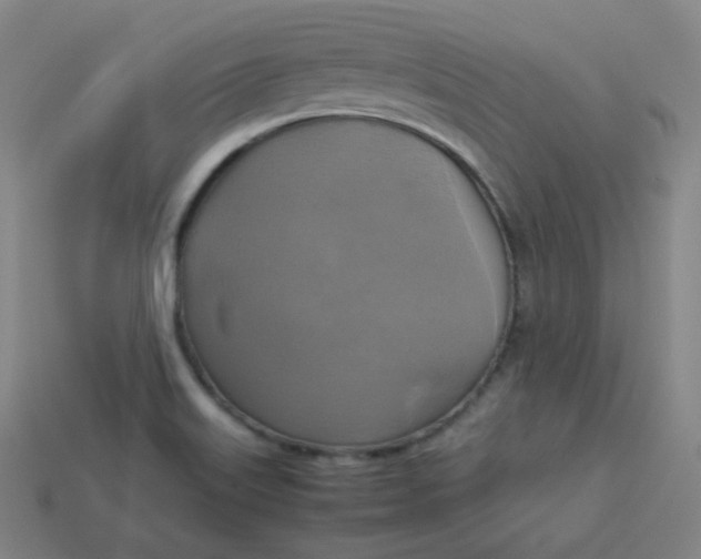 X0000113751515200910141015