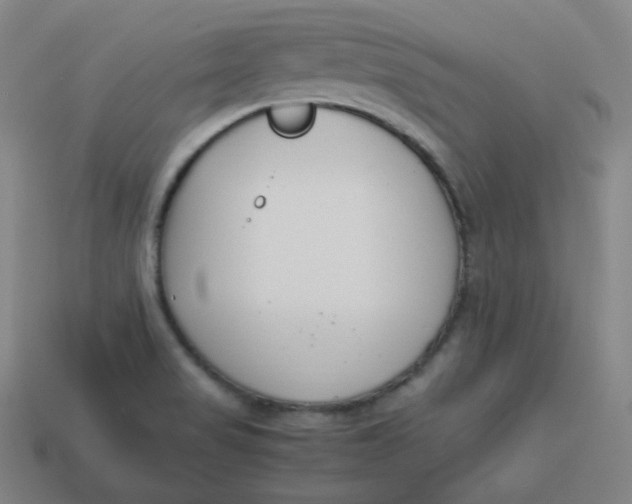 X0000113751517200910141015