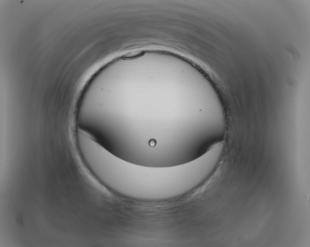 X0000113751518200910141015