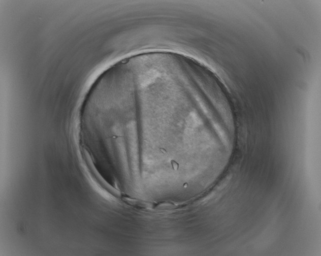 X0000113751519200910141015