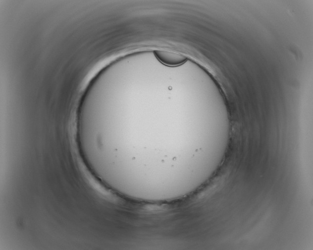 X0000113751523200910141015