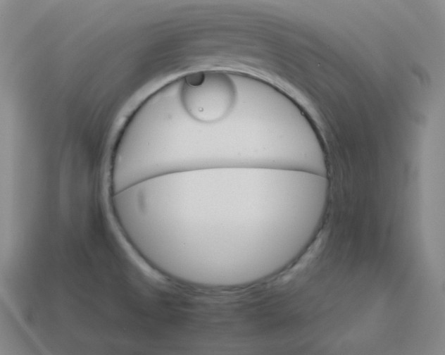 X0000113751525200910141015