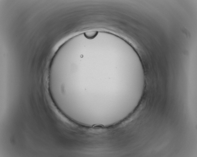 X0000113751526200910141015