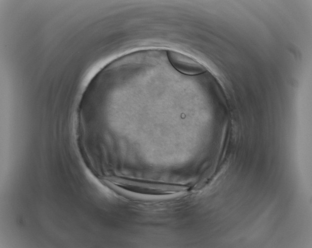 X0000113751527200910141015