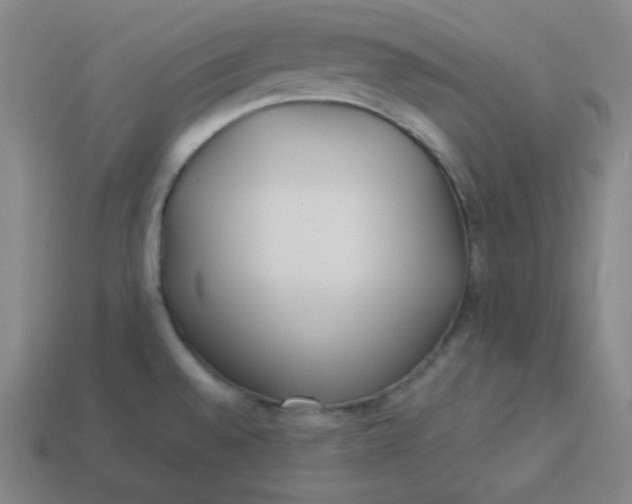 X0000113751528200910141015