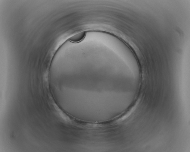 X0000113751529200910141015