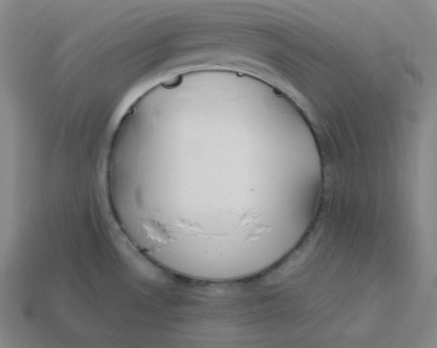 X0000113751530200910141015