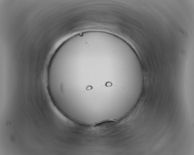 X0000113751531200910141015