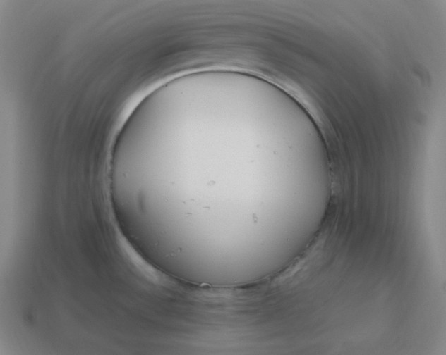 X0000113751532200910141015