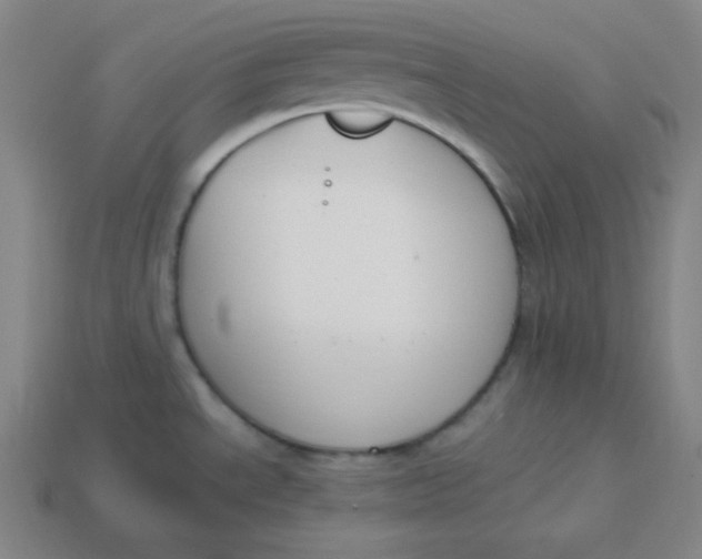 X0000113751534200910141015