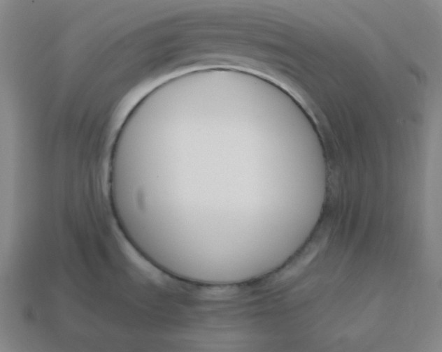 X0000113751535200910141015