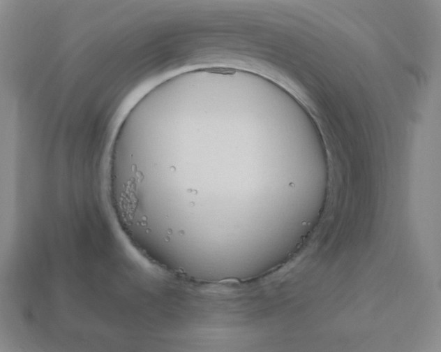 X0000113751536200910141015