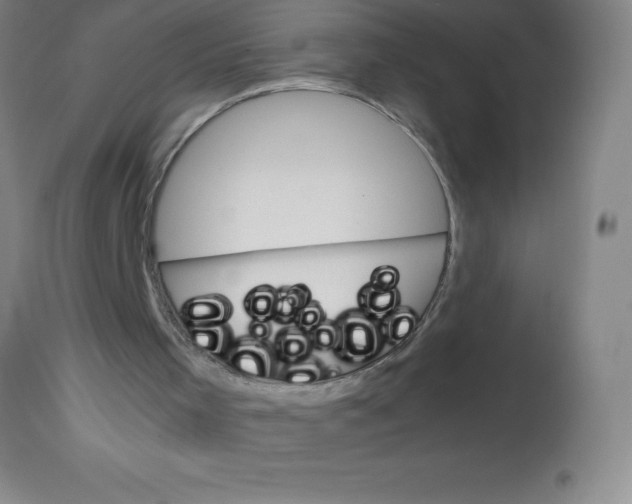 X0000113750001200910211157