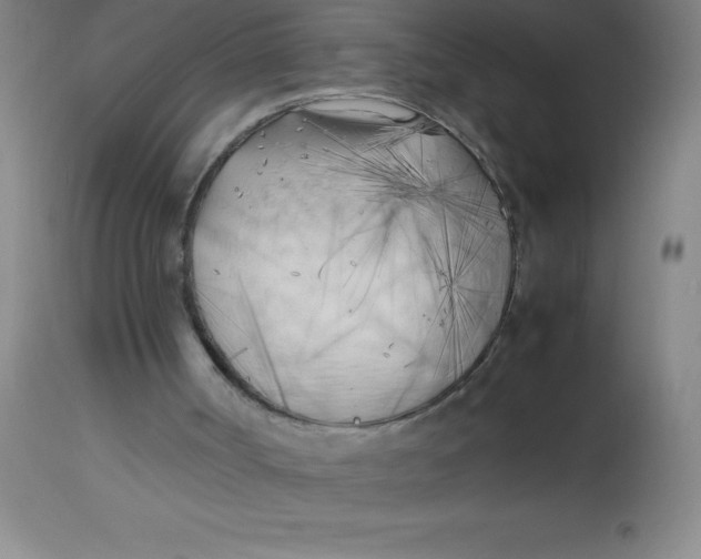X0000113750002200910211157