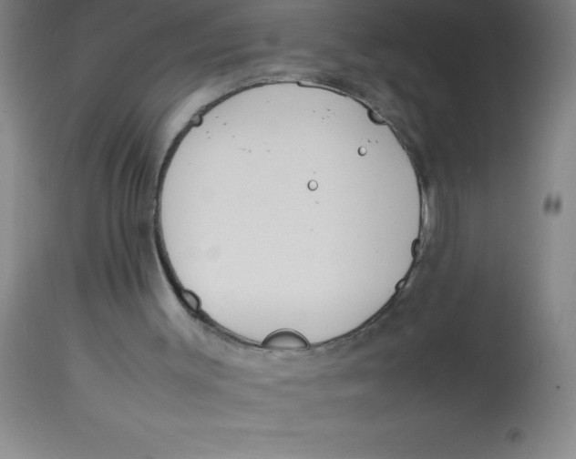 X0000113750003200910211157