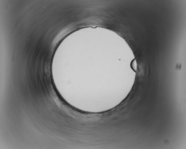 X0000113750004200910211157