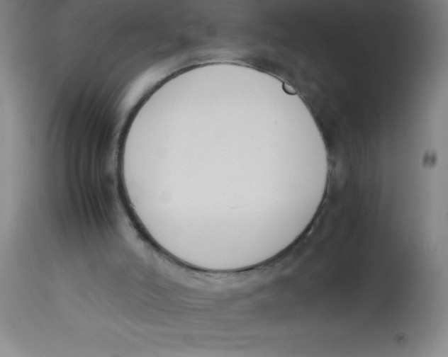 X0000113750006200910211157