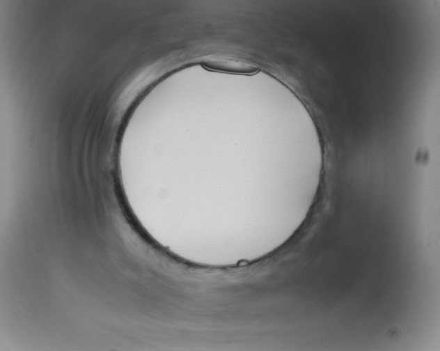 X0000113750007200910211157