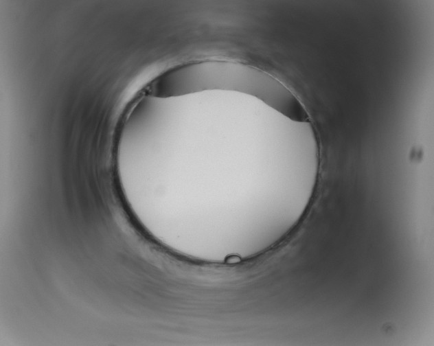 X0000113750008200910211157