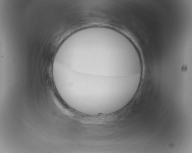 X0000113750009200910211157