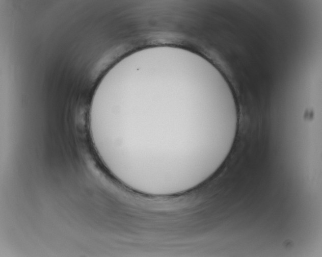 X0000113750010200910211157